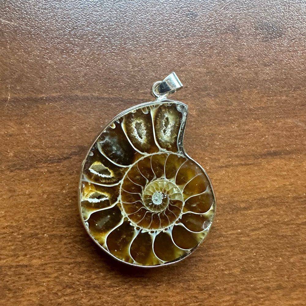 Ammonite fossil pendant 1.5”